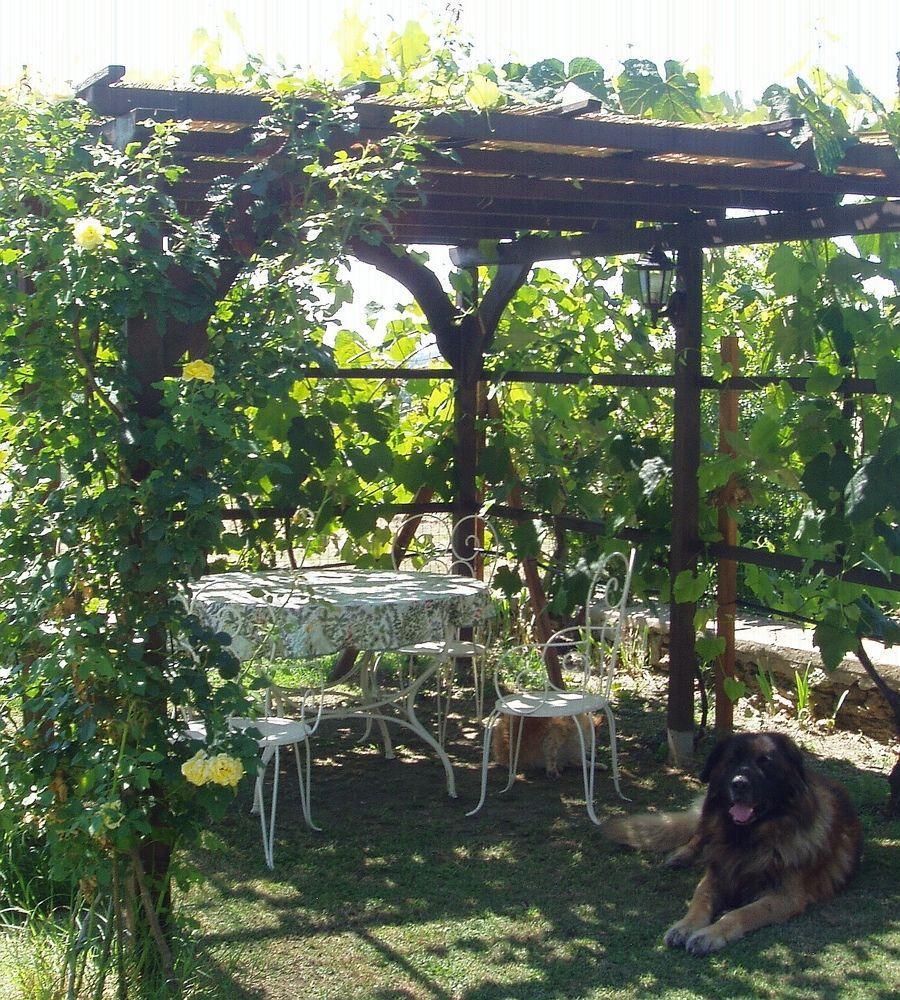 B&B Gabri Cortona Exterior photo